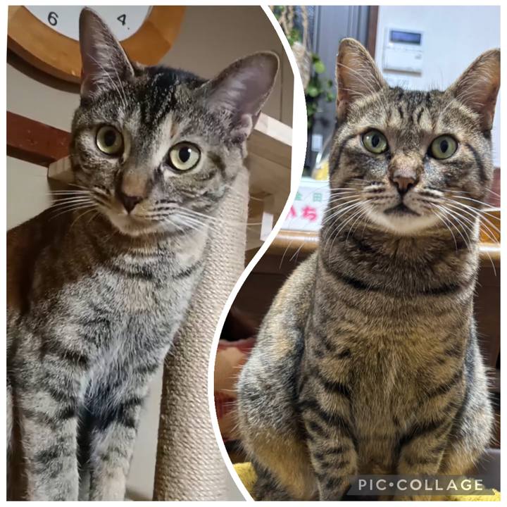 Feb83397 7733 4195 9901 90aa7b9fce7e 1770074921145