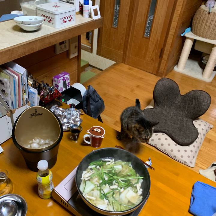 Feb8523c 6135 48d9 86df 73d1cca5fcf6 1560596552554