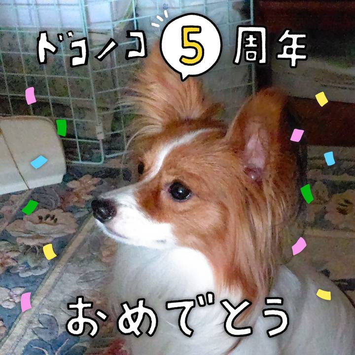 Feb86351 517d 444c aabe f85edf9c2c31 1622899402752