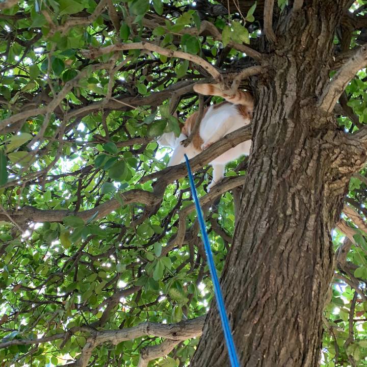 Feb87f3a b4df 40a4 bc3f 9f815ae8431f 1578284002847