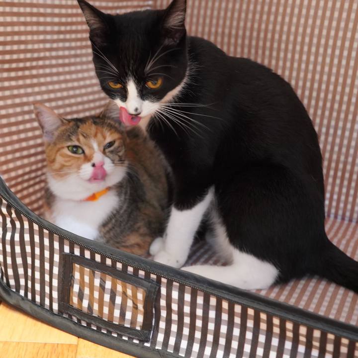 Feb88721 d400 495e ae93 bdf375effbe3 1594604524672