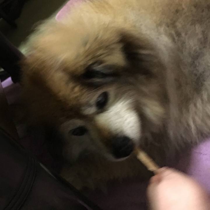 Feb8aa61 2042 4598 8307 4f82b00b8e09 1666000188111