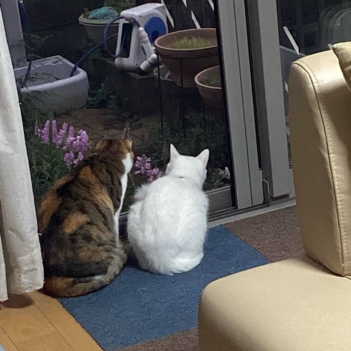 Feb8c91a 33e5 4def b57c 0ca63c0cbd4b 1663707770460