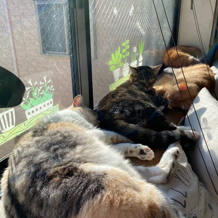 Feb8ecb1 ce67 47fa a53b ac329049b758 1609649884041