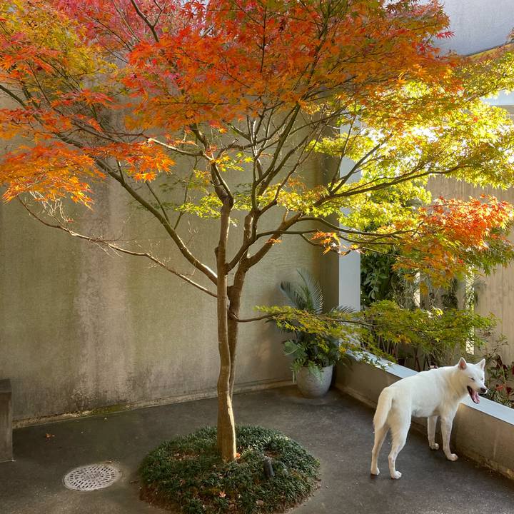 Feb8f8d3 f167 4bd6 8910 62125da57954 1637316067857