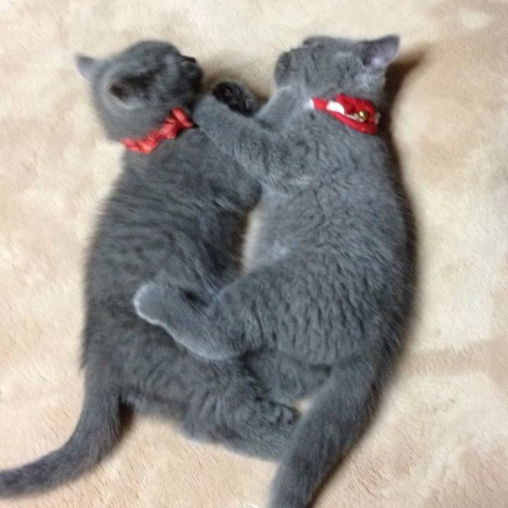 Feb9059e dad0 49e5 868c 9d1bb991ca35 1773481062759