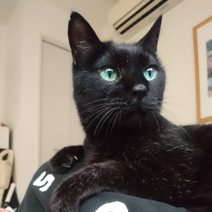 Feb9098e e30c 4747 9260 08dff54c9dec 1530342908990