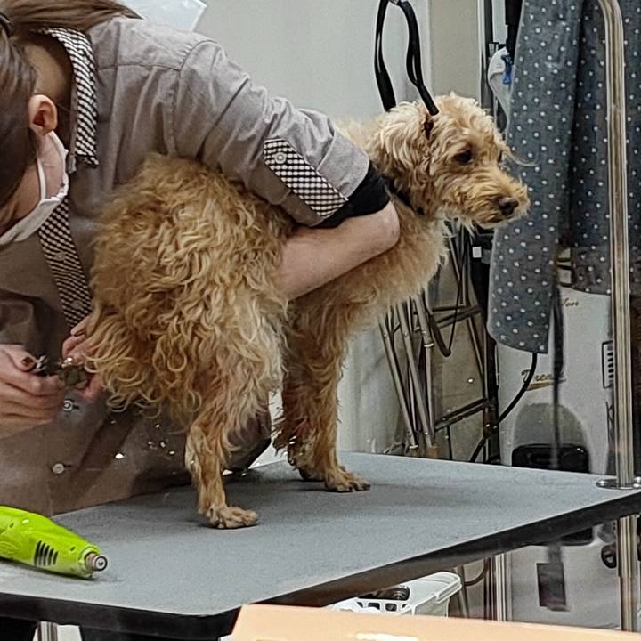 Feb923eb e03b 4d64 8fa2 4f8c554c8673 1606639976604