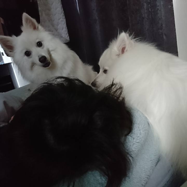 Feb92633 d565 414a a318 b7e1c09f97d5 1596257842349