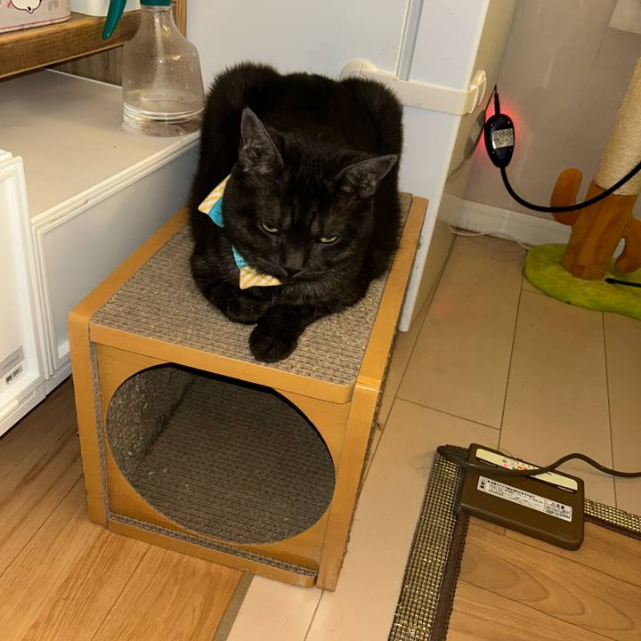 Feb92f54 7d68 40a1 87dc e741a495539f 1762875706067