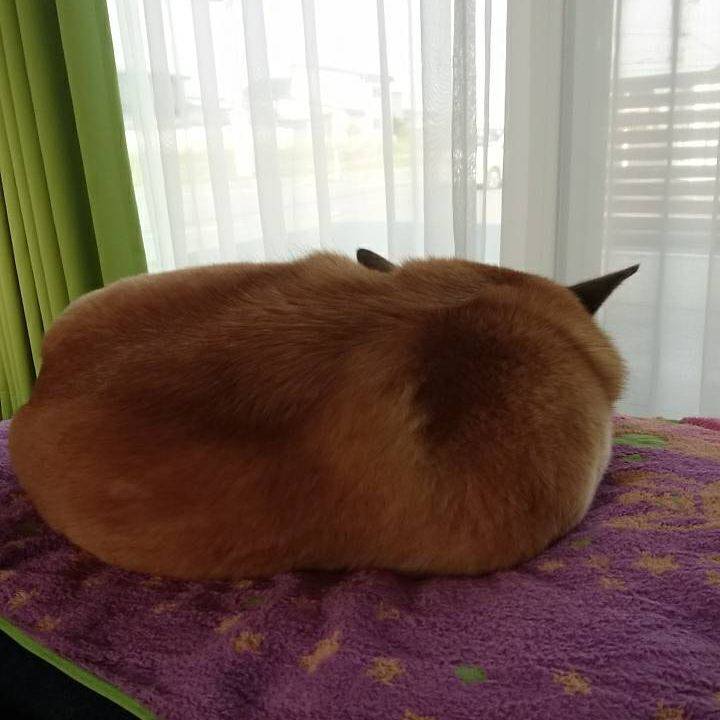 Feb933e1 1a51 405f bba0 3670404103e1 1524208068351