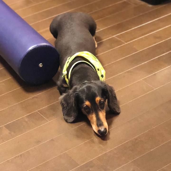 Feb96707 a330 4ab5 b0d7 3d187a2a2bee 1533472334833