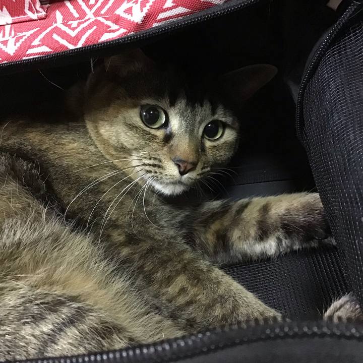 Feb97186 d8be 4523 ac6c 1d1619b8c8ba 1677588691115