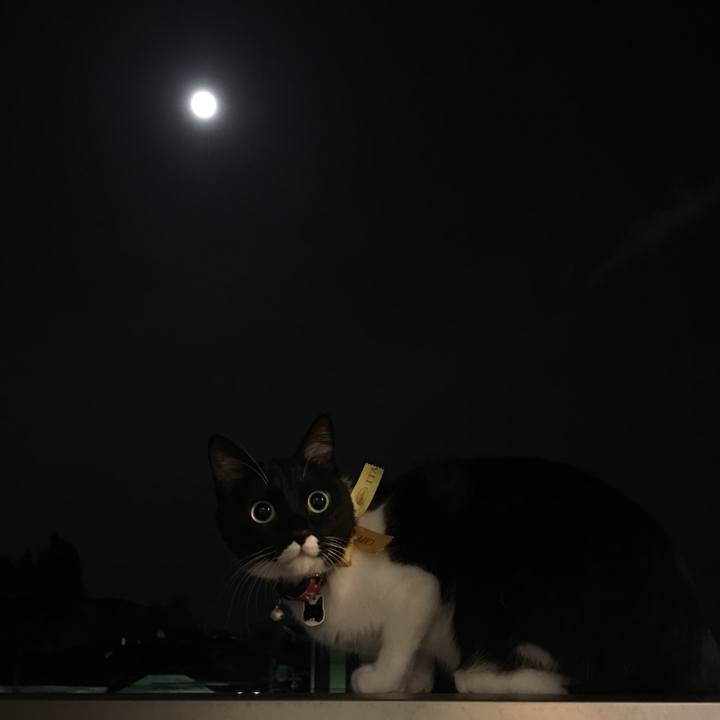 Feb9721d 30cd 42f6 8657 ecdfd72e03bb 1537881019066