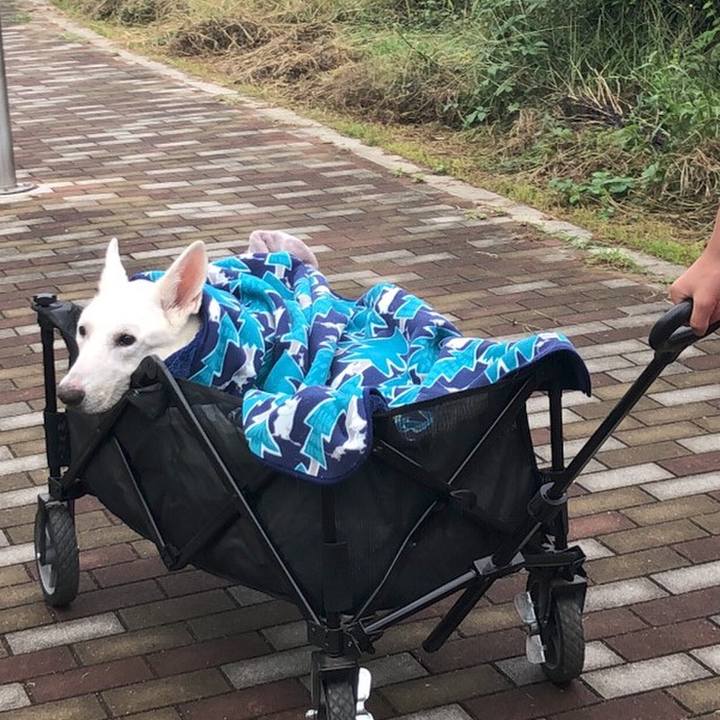 Feb975fb e988 4251 9693 9e008ad28178 1603087910107