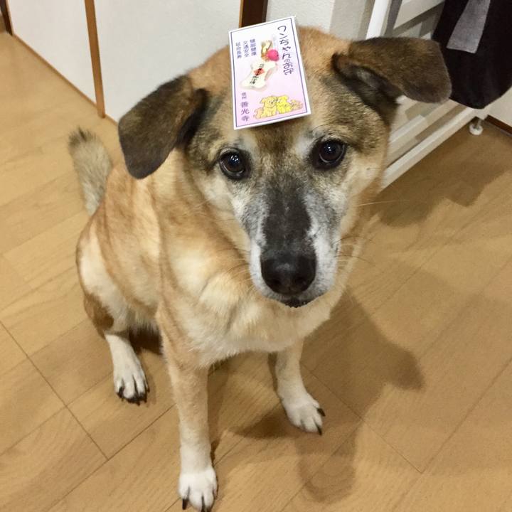 Feb9948f 28d4 4c6a afc8 f4f188e9af19 1576312039492