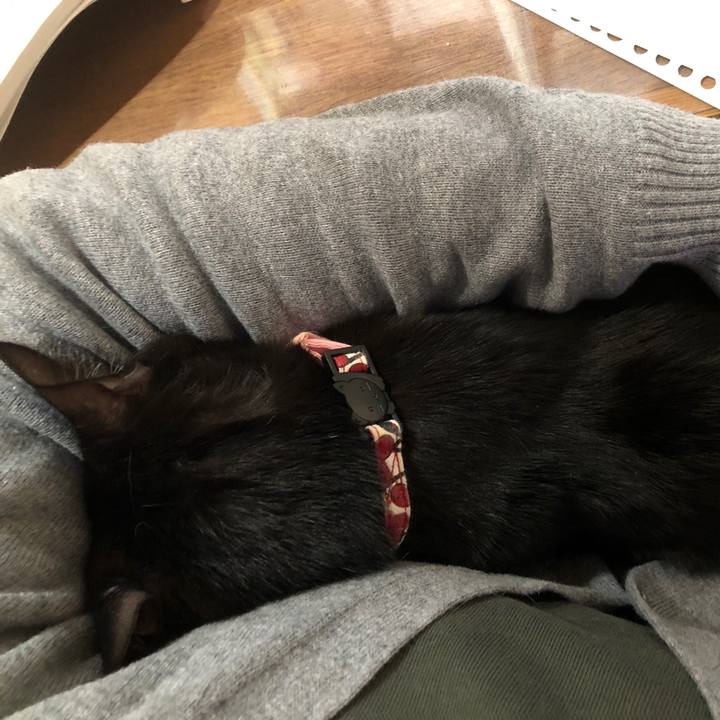 Feb9bbd6 7b88 41fe ae11 7690f6112422 1580122368893