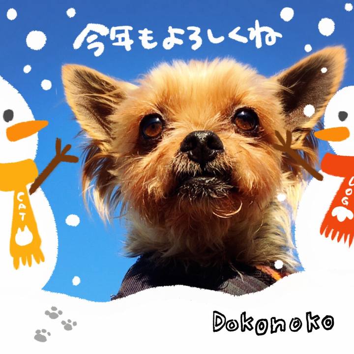 Feb9dbce 90ec 4292 a93c 882b84d33819 1704285216752