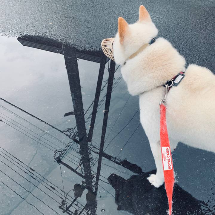 Feba34cb ea38 428e ad00 5af921e61a75 1600034334209