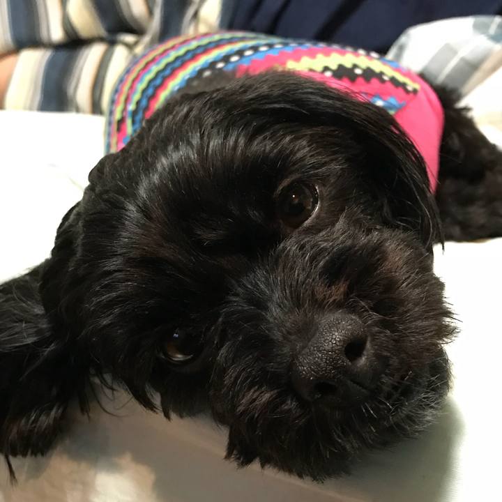 Feba503c bd84 4de5 af5c 1b796cabe794 1527165585329