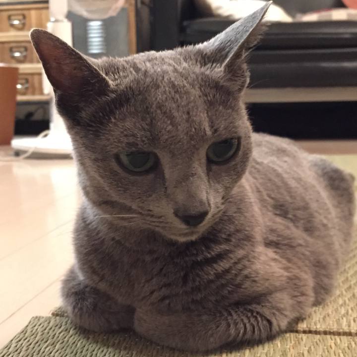 Feba534f 8f0e 4ec1 977c 0afc0b6cf813 1566342971560