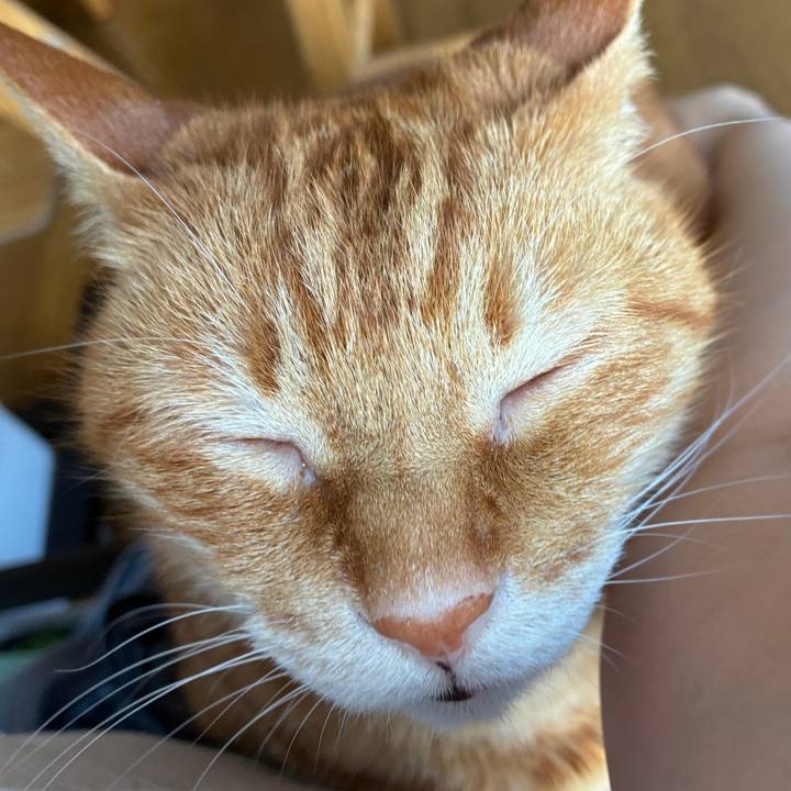 Feba99b2 58e1 4f1c 8ca9 f14de805956f 1746394633578