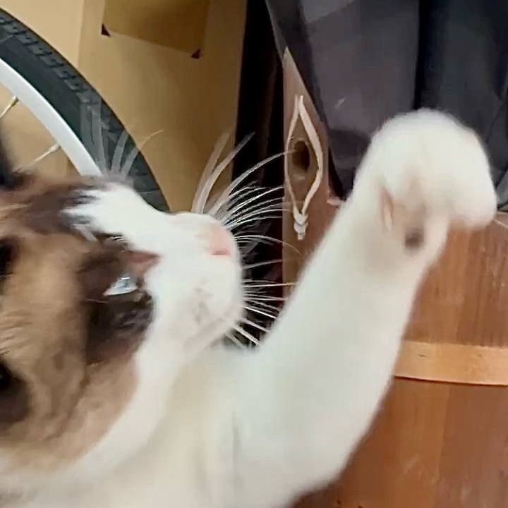 Febab392 df9e 4f42 b300 c1aa6b6892b4 1751078640439