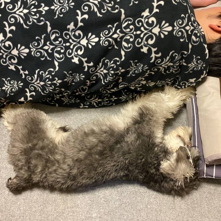 Febac3d2 1376 42ce a0a3 b5d1ecb1c7df 1580636673097