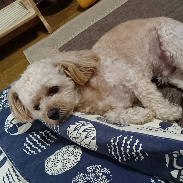 Febaeb97 388b 4944 87f3 2432399d7782 1535267857052