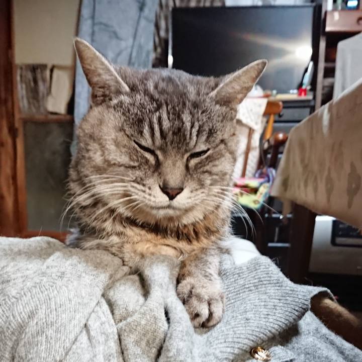 Febaf719 f51b 461f a774 c563997beab0 1579380634160