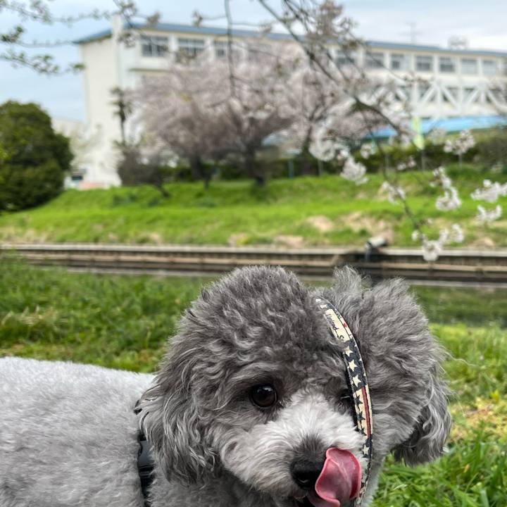 Febb00f6 555d 4ee2 a8cc bd087987dd51 1775255944869