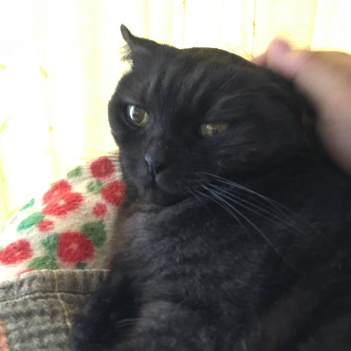 Febb286b 9ece 4800 b521 85eac4e2c0d6 1535577908090