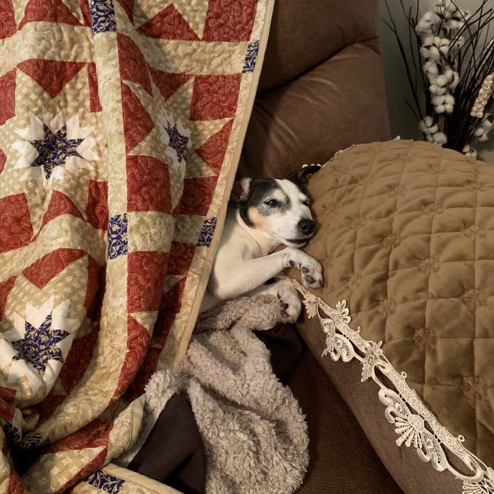 Febb528f f78c 4999 afca e1c980a6c9da 1652529958440