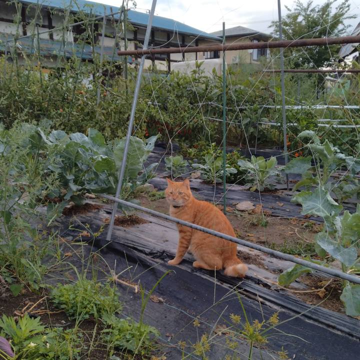 Febb65e5 c4d1 4056 a344 894b146f0204 1695164258457