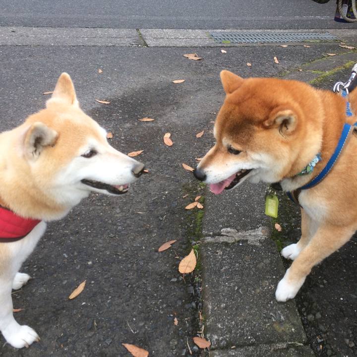 Febba3cb b60a 49be a8b0 f5fd6418d00b 1512397329482