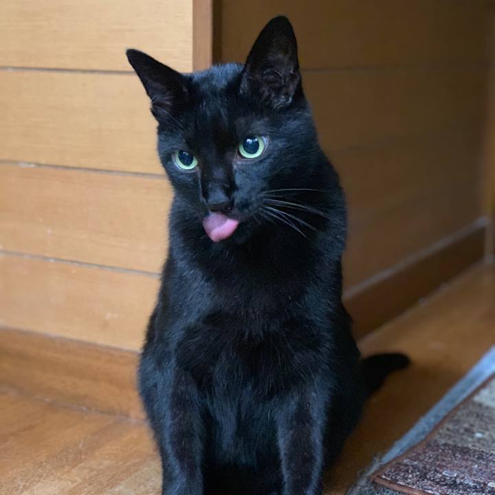 Febbbcd2 b196 460a b702 6b772b1855c9 1538702187198