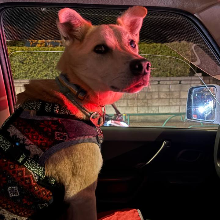 Febbc886 9132 40cd 8ef8 68a574f125ef 1763636401777