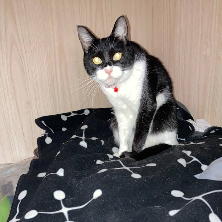 Febc010d d08e 4f75 a728 18ee4a3b2737 1673173251171