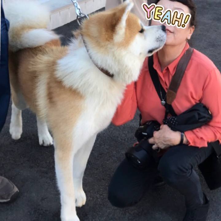 Febc01cd 36c3 49d5 9f25 6cedafae34f5 1536670338185