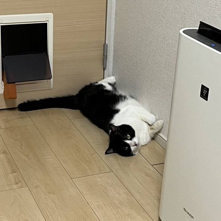 Febc0bea fc46 4013 b504 1a4d3d680dea 1706945720759