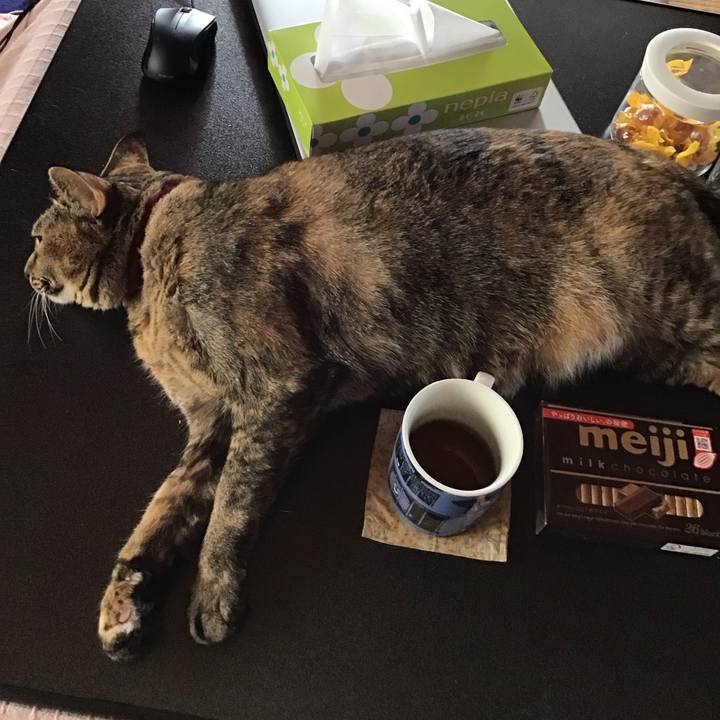 Febc2903 693a 4c31 9872 4894eb9dd998 1704418566987