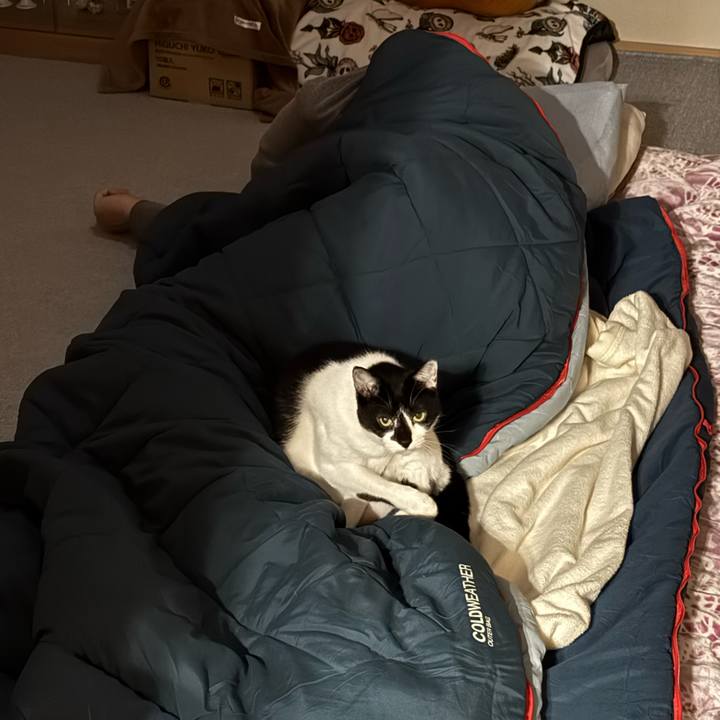 Febc5559 1565 4f6d 89e1 39ec16bf9db1 1761955958953