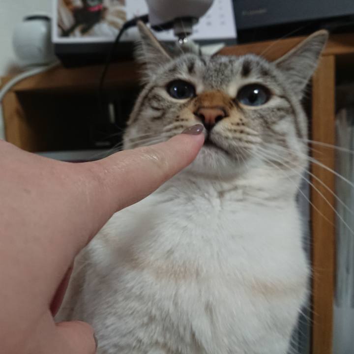 Febc6a4e 039e 4075 86d6 42a9401aec80 1549281998782