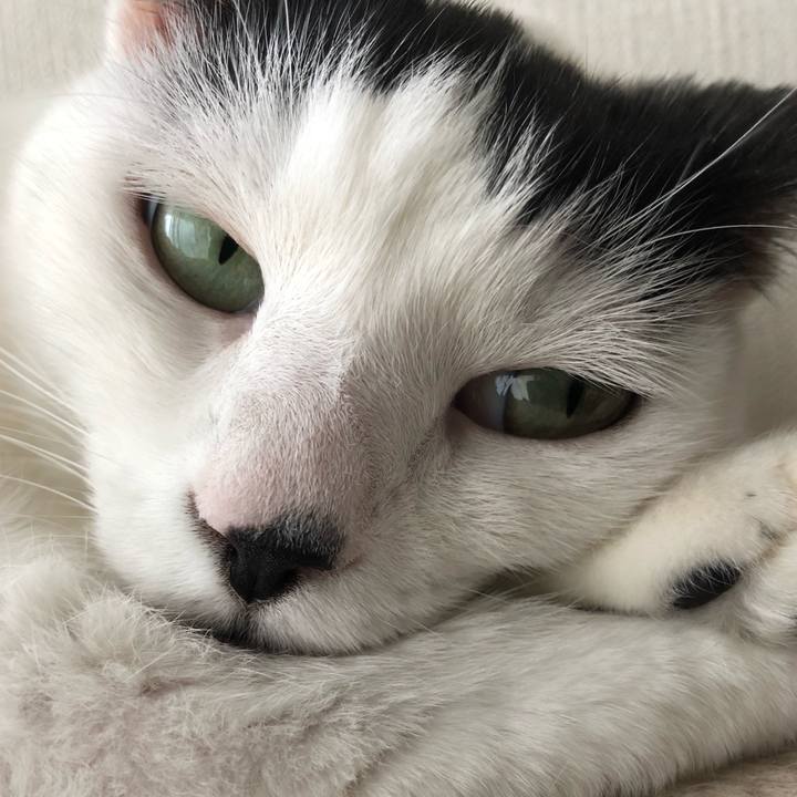 Febcad84 4049 4463 87ce d7b12feb94df 1539397503628