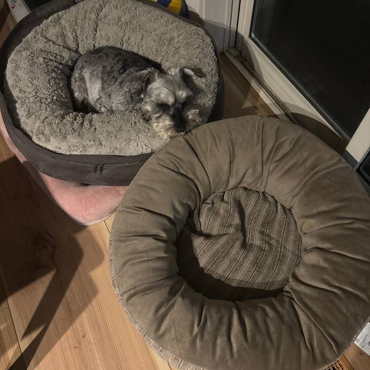 Febcb717 bcc8 498f a77b cbb440410797 1714465939924