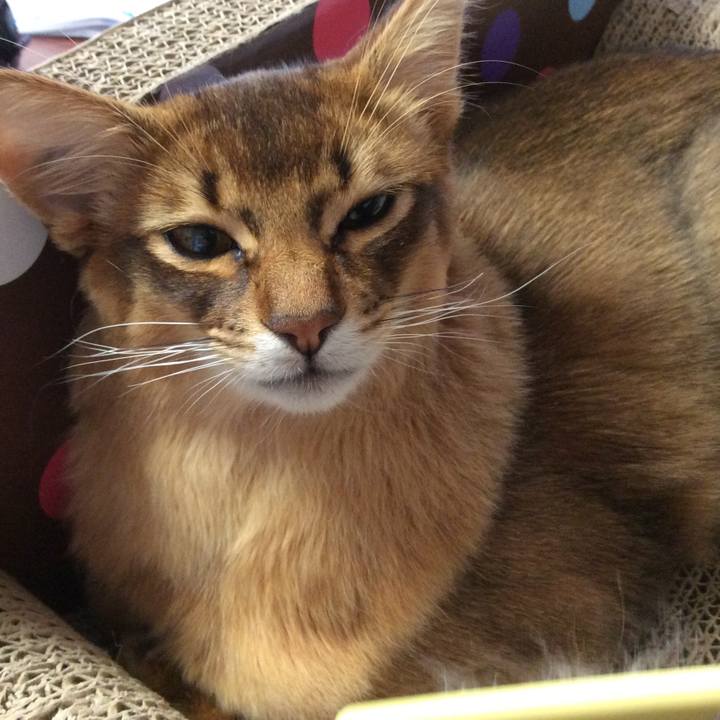 Febcce73 44c5 4de6 b924 d4be7bde272e 1583290977554