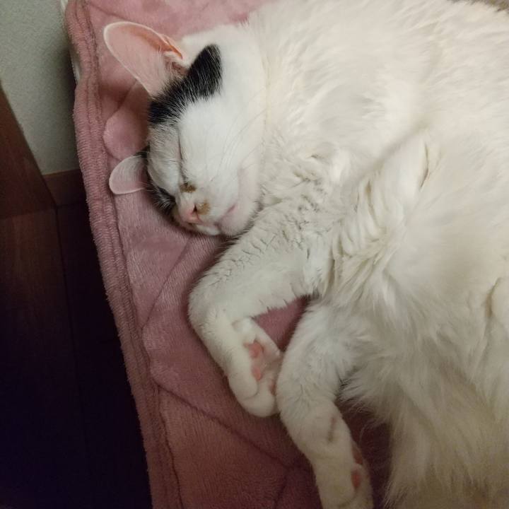 Febd382f 5824 41dd 878c 57f60dd8af6b 1674916720650