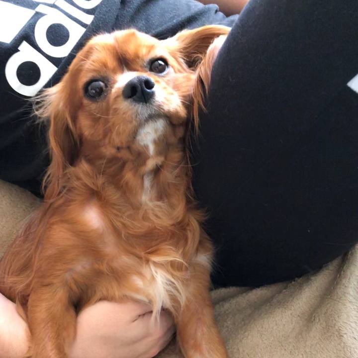 Febd43a6 3518 441c 9cd9 fde50b483db6 1557615944754