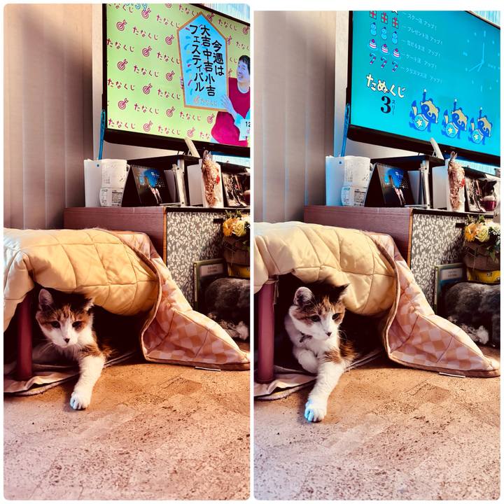 Febd481c 6d0d 42dc 8102 85d58a9cec1b 1733698765625