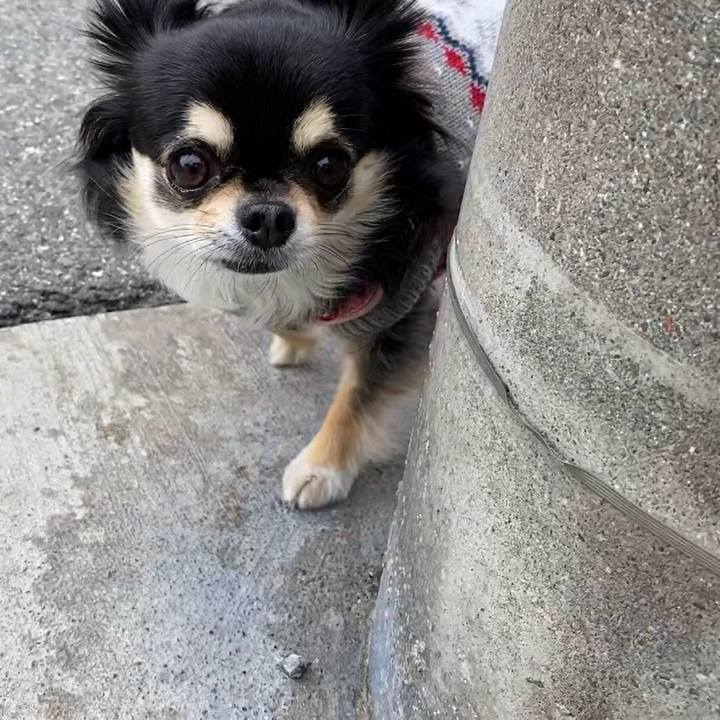 Febd5b49 5314 47f7 986c dc21a65c60f9 1644719118364